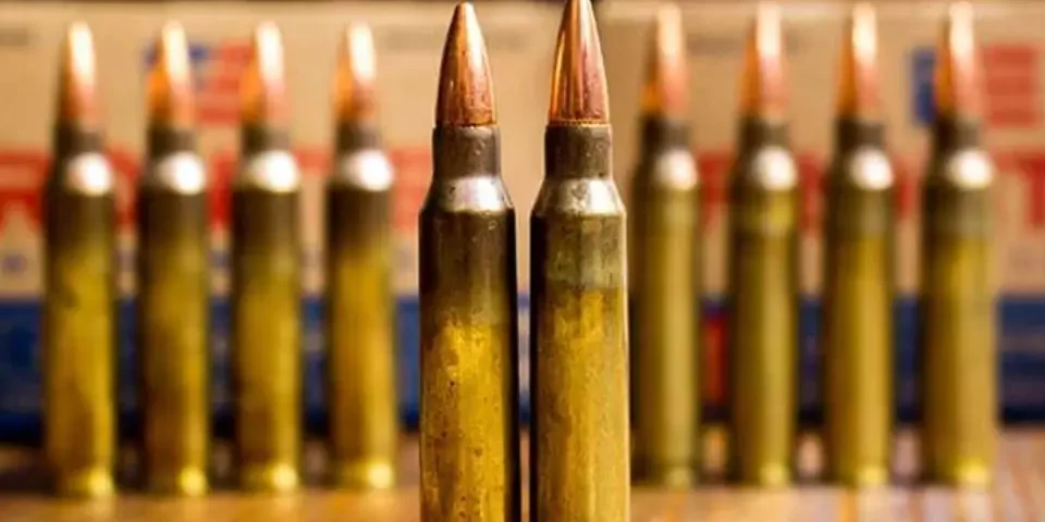5.56 NATO проти .223 Remington: У чому різниця?